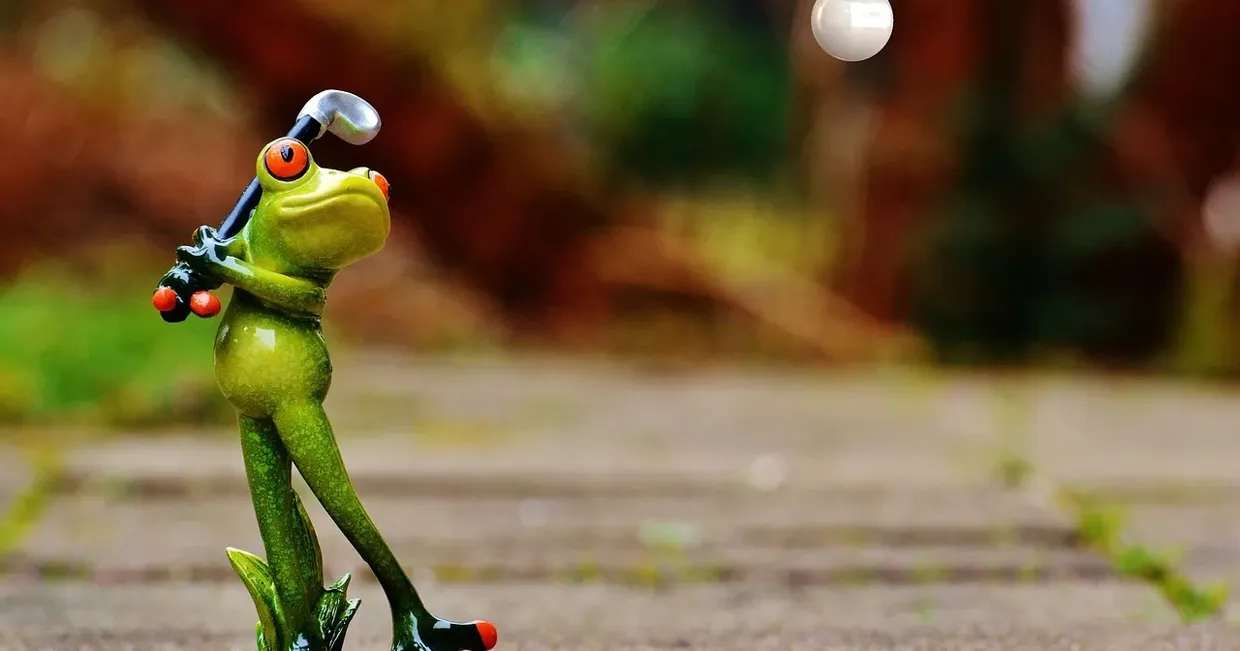 17-PicturePerfect-1240×651